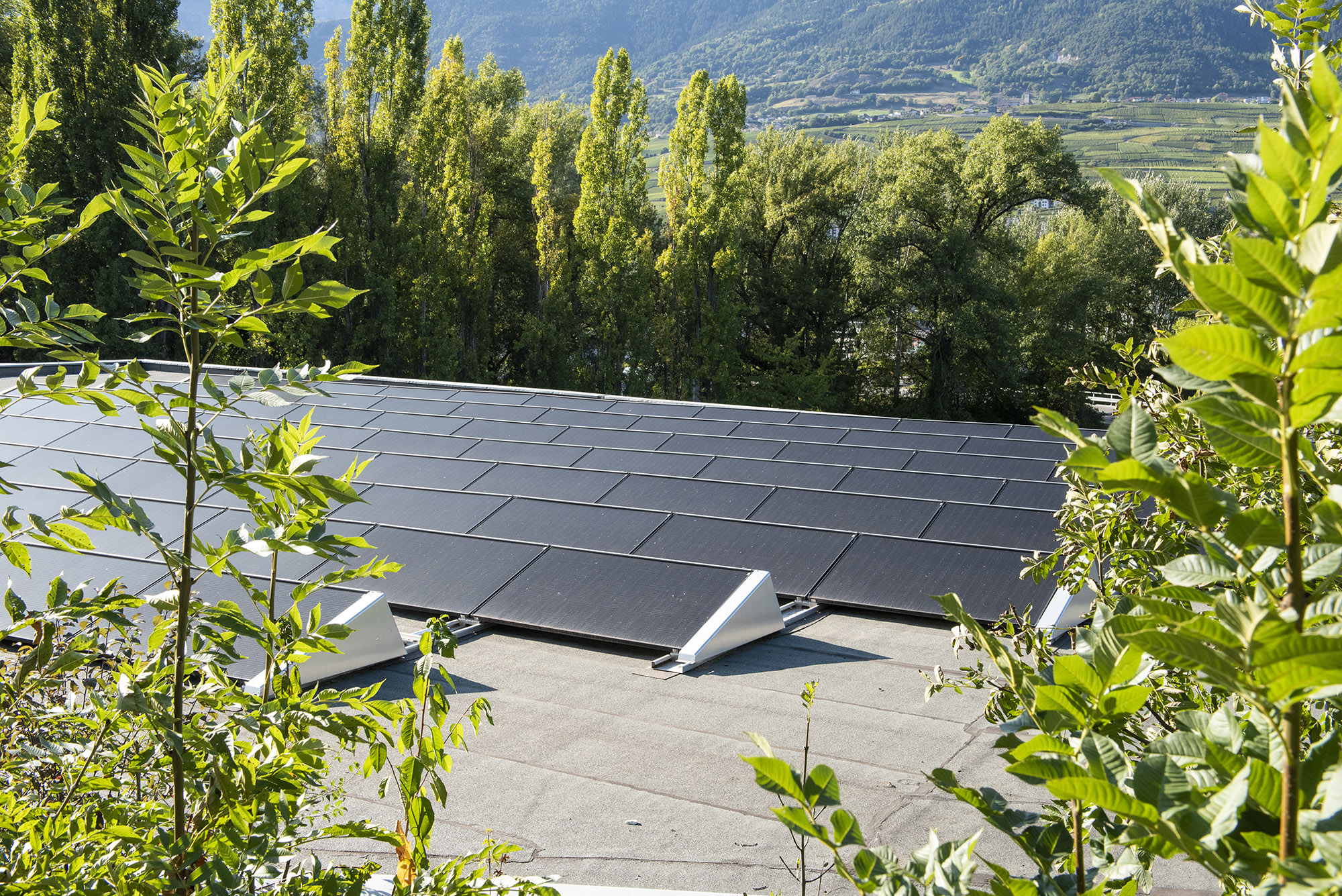 Panneaux solaires Frutonic